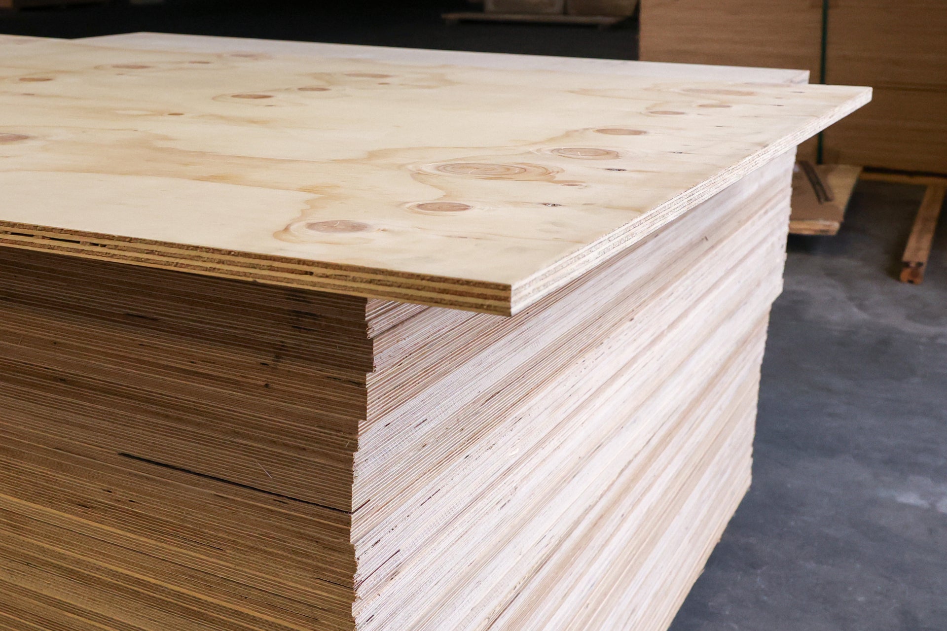 Multistrato Pino Cileno CP/C Fenolico