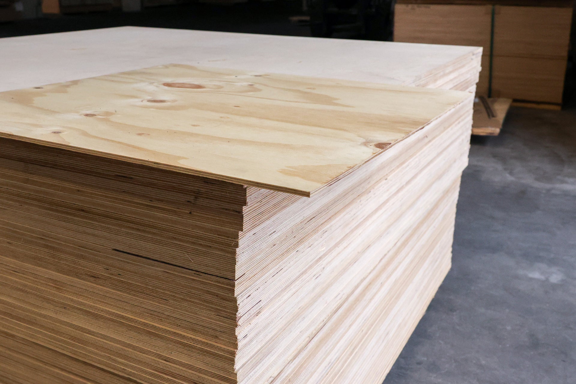 Multistrato Pino Cileno CP/C Fenolico