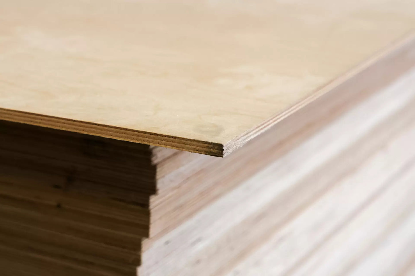 Birch Plywood CP/C Phenolic