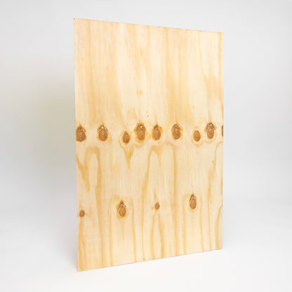 Chilean Pine Plywood B/C Phenolic