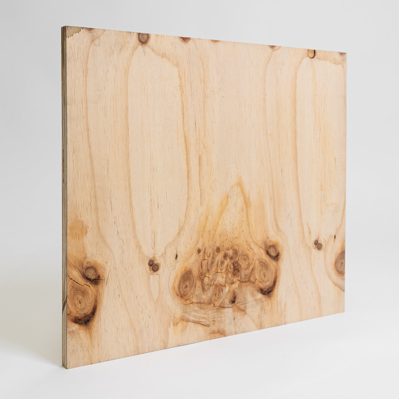 Chilean Pine Plywood B/C Phenolic